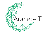 Araneo-IT